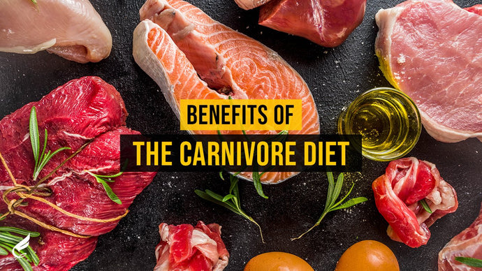 A Week-Long Meal Prep Plan for the Carnivore Diet
