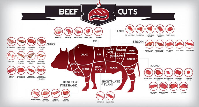 A Guide to Steak Cuts: Savoring the Variety of Beef Deliciousness