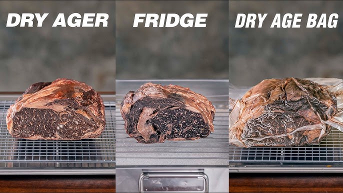 Dry Aging Bags vs Dry Aging Fridge: Which One is Right for You?